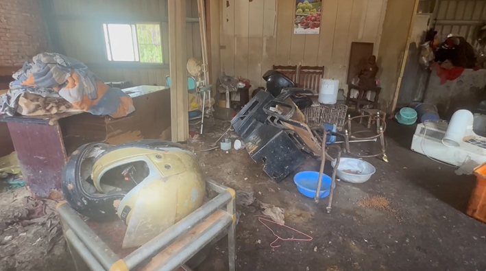 15隻犬隻遭強制沒入　飼主失控毆打動防所人員