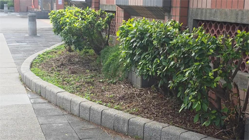 國中女學生課堂吸「喪屍煙彈」突顫抖、昏倒 同學全嚇哭