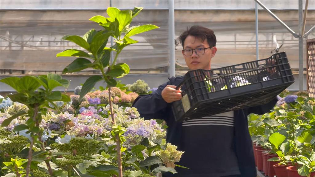 32歲花農十年磨一劍　吳承燁創新管理奪最高殊榮