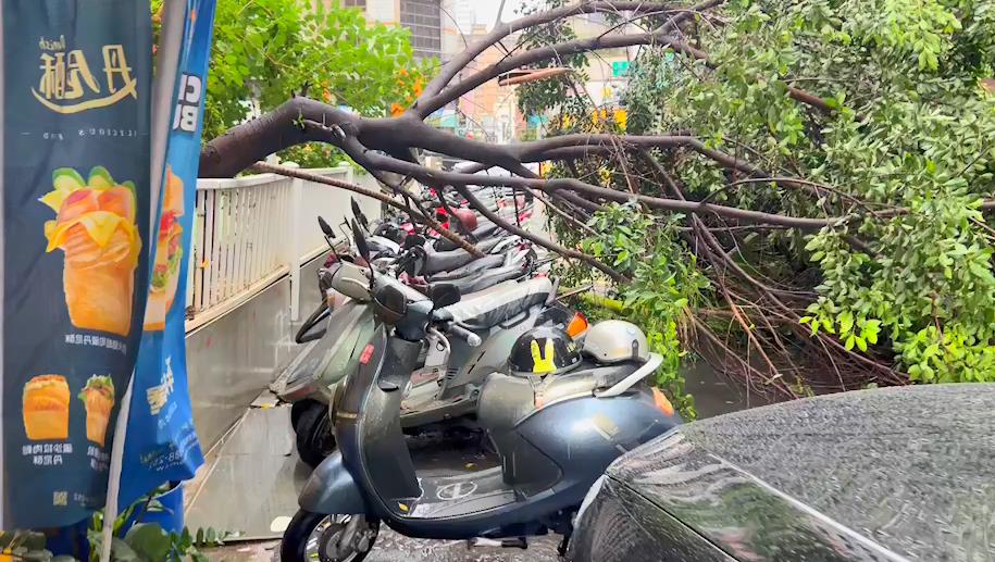 快新聞/南部「5縣市」發布豪大雨特報 高雄各地傳淹水、樹倒災情