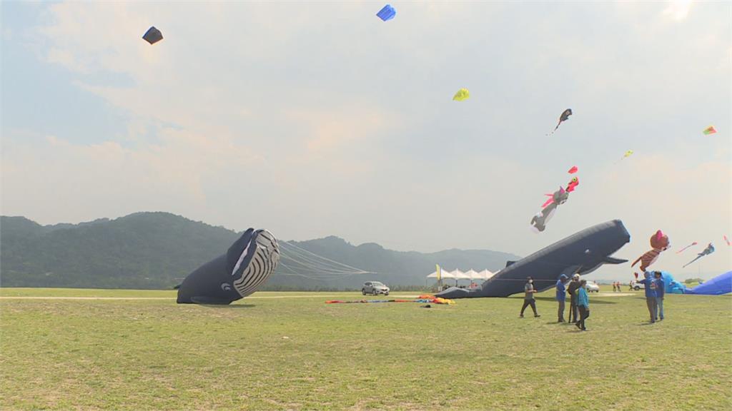 桃園國際風箏節　「16公尺巨型鯨魚」翱翔