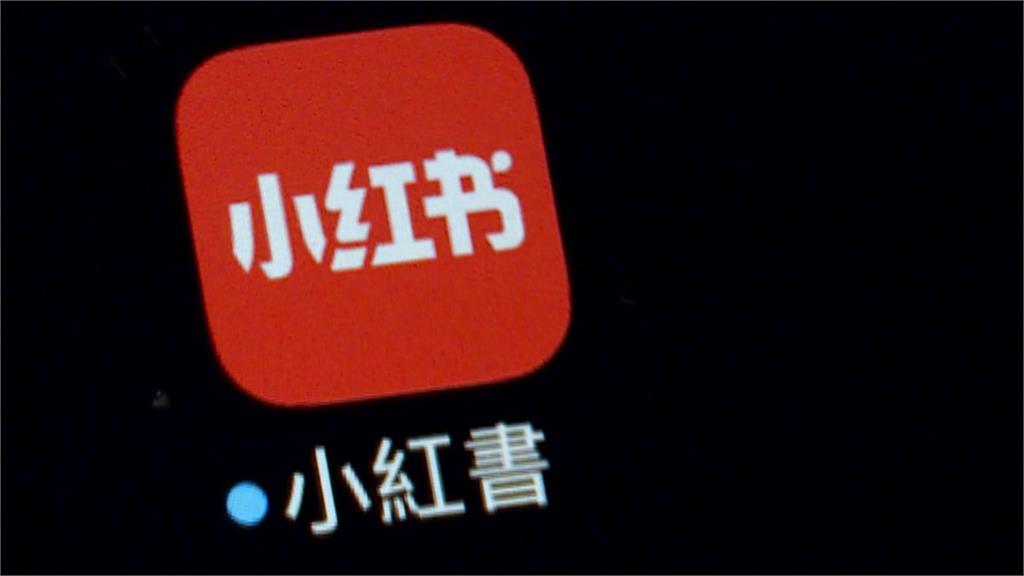 雙標! 王鴻薇轟禁小紅書蓋民主長城 昔喊"擋無代表人平台"