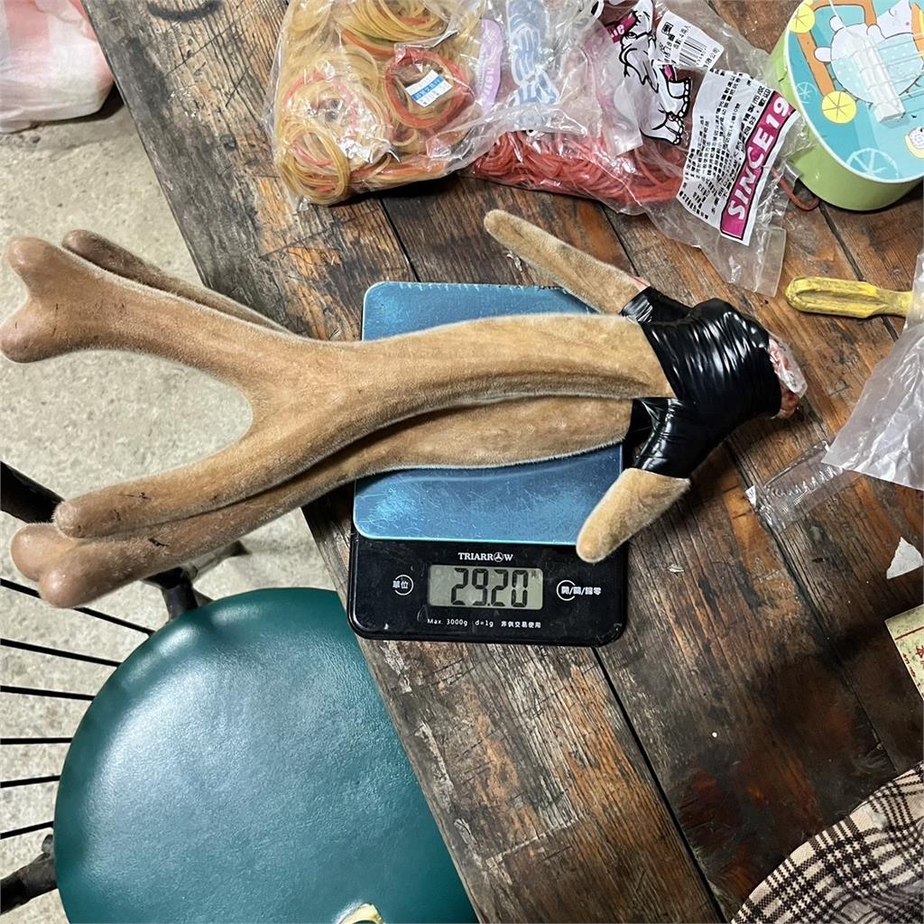 殘忍!恆春梅花鹿遭殺害棄屍 檢方逮捕盜獵集團4人