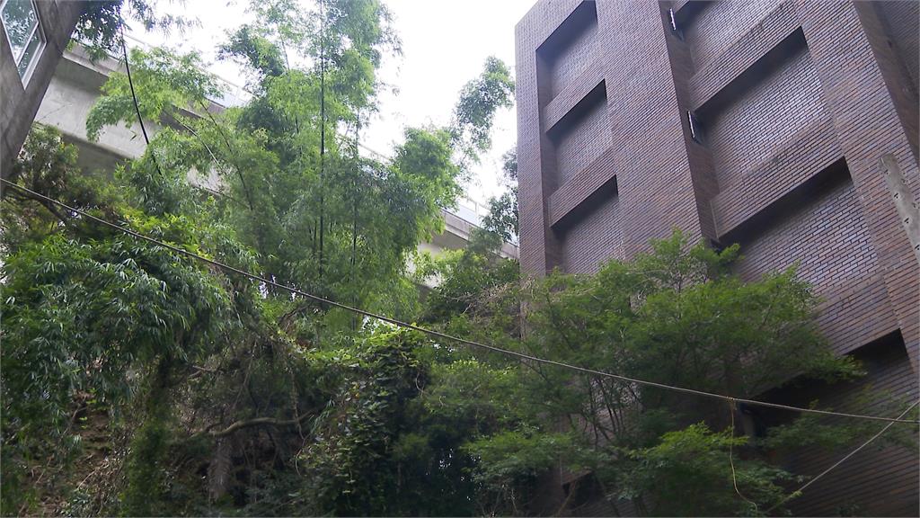 巴威颱風逼近！新莊民宅後方「5層樓高」土石崩落　嚇壞居民