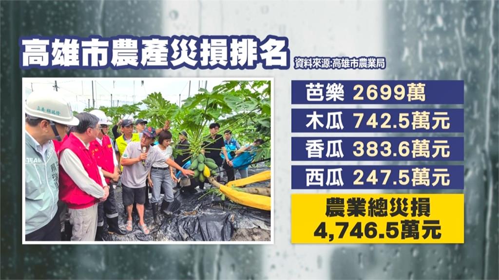 大雨打落花蕊.積水害根系缺氧 高雄芭樂農損高達2699萬
