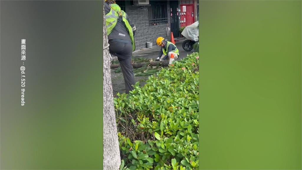 不敵強風！　北投立農公園路樹倒塌　壓毀民宅鋁窗　橫躺巷弄阻通行