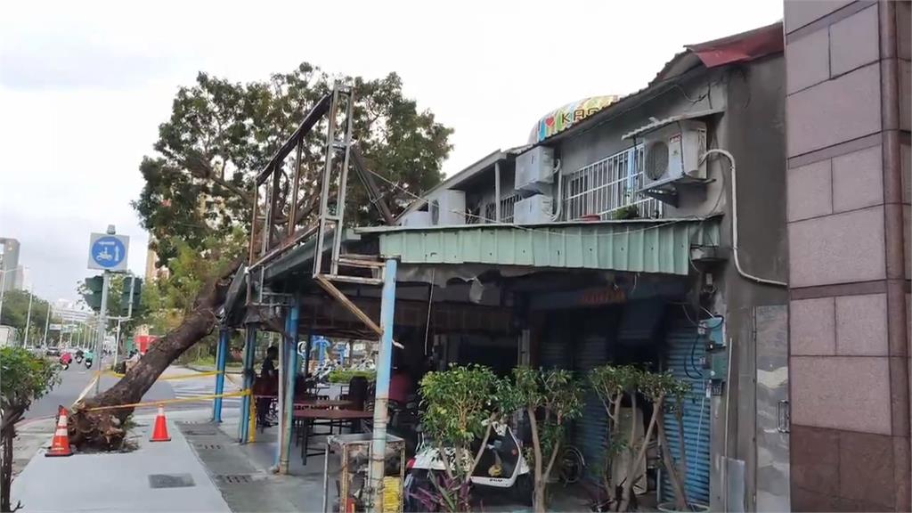 高雄知名燒臘店大樹壓屋頂　民眾不顧危險排長龍買便當