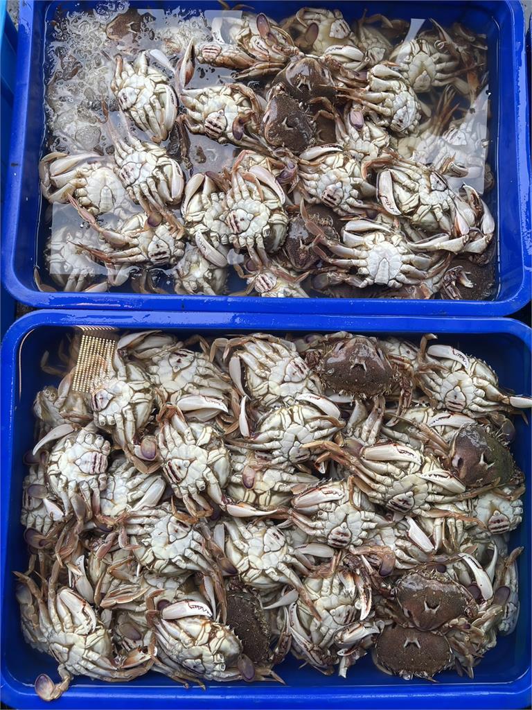 螃蟹繩也能「偷斤減兩」? 客買螃蟹繩竟是布質遭當冤大頭