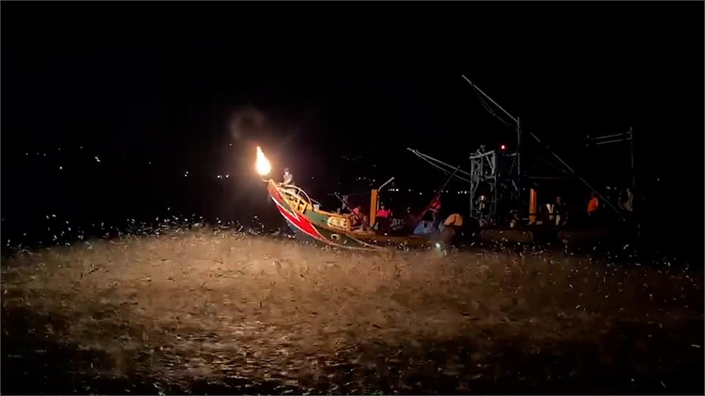 大爆發!世界僅存古老捕魚法 金山「蹦火仔」密麻魚群海面狂跳