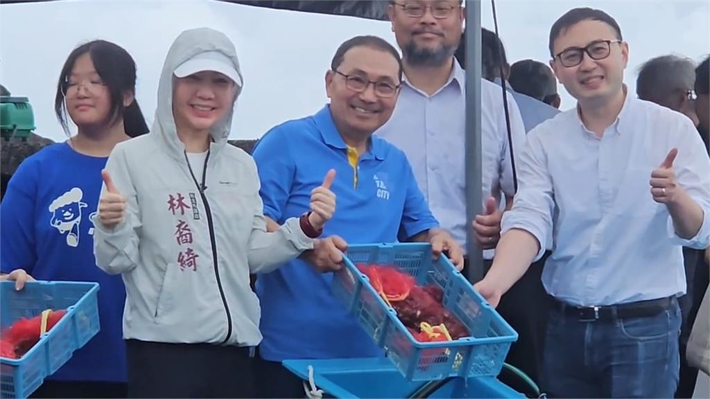 海洋永續發展！貢寮推海洋生態復原　流放十萬顆紫海膽