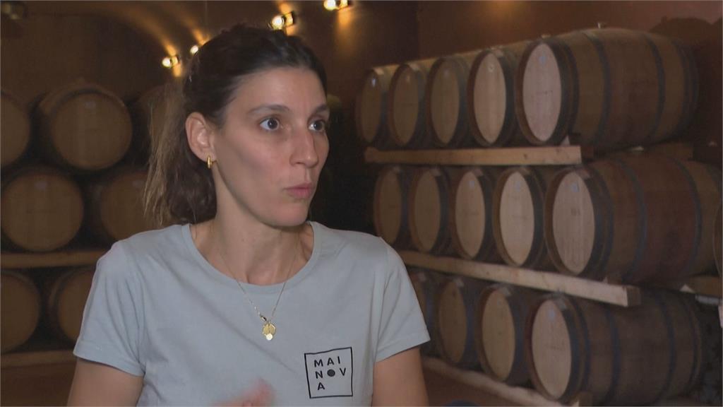 全球暖化影響葡萄酒採收　葡萄牙酒莊改夜間收成