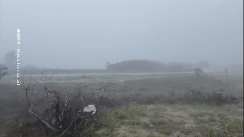 梅雨狂炸! 恆春現"颱風級暴雨" 海生館樹遭吹倒