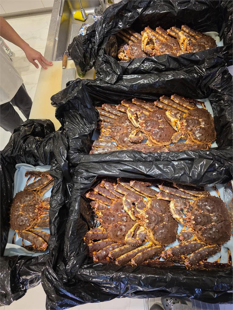 成群帝王蟹趴趴走! 民眾巧遇PO網問:剛有海嘯嗎?