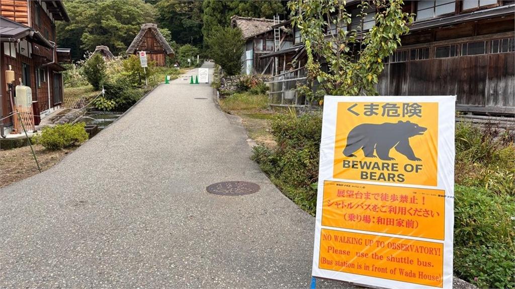快新聞/熊害遍地!上月全日本88人遭熊攻擊 白川鄉加強驅離
