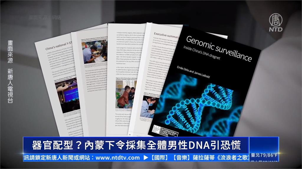內蒙古強採DNA　器官移植疑雲再起