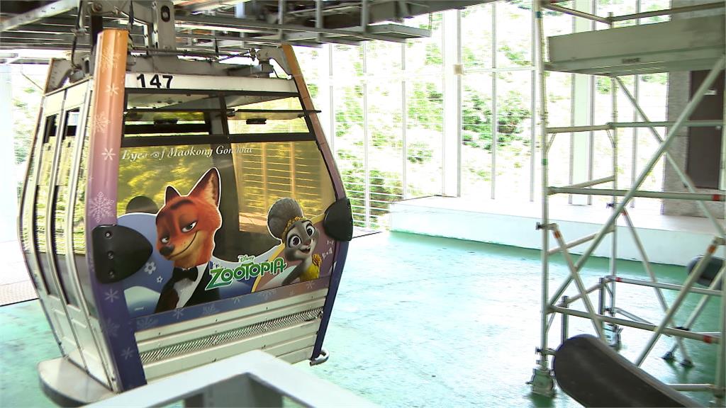 搶攻暑假商機！　貓纜喜迎２０周年　聯名「動物方程式」推限定車廂