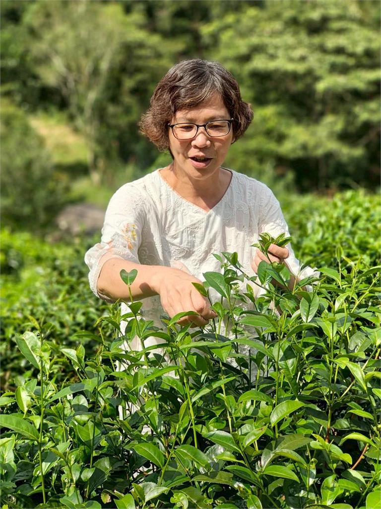 才口誤「我們是雜草」!蔡壁如突曬「滿面笑容拔草畫面」網驚了:走出自己