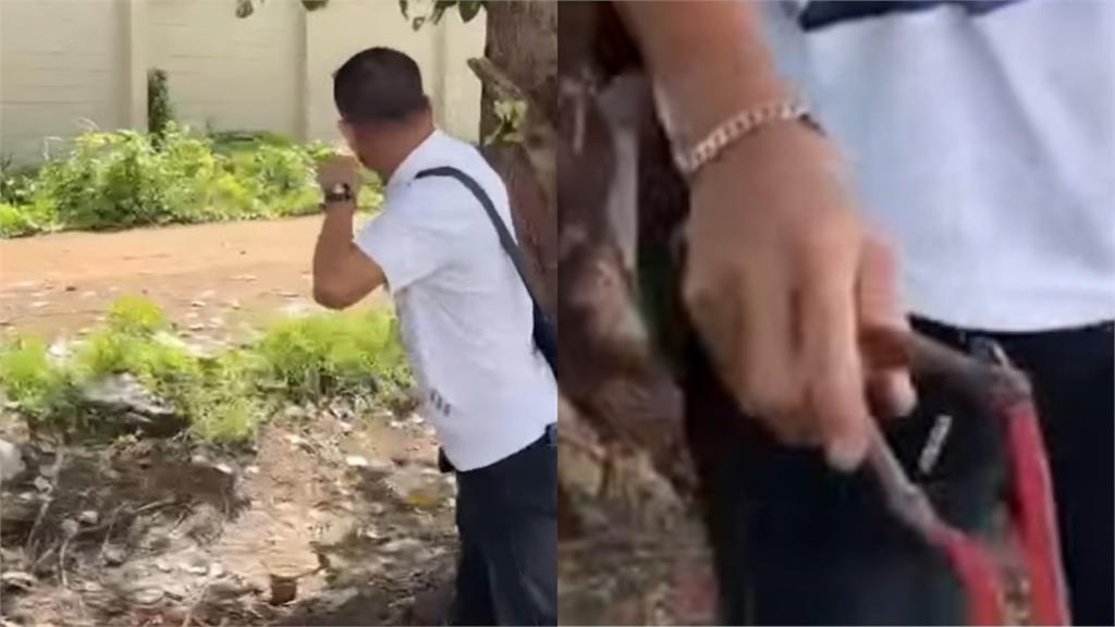 百隻猴子「越獄收容所」街頭亂竄!警方彈弓「正面對峙」驚險畫面曝...