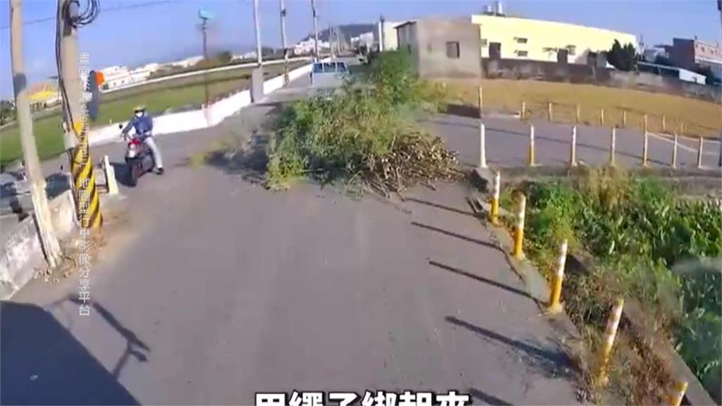 離譜!車斗載不下樹叢用拖的 沿路「掃街」占車道警將開罰
