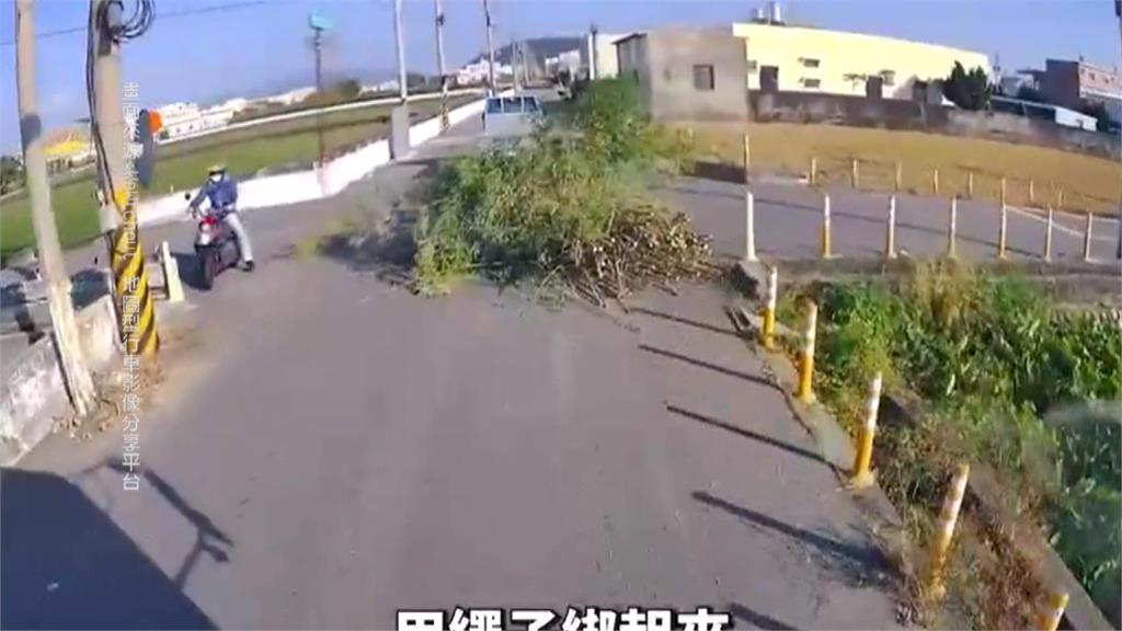 離譜！車斗載不下樹叢用拖的　沿路「掃街」占車道警將開罰