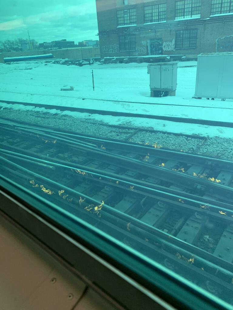 芝加哥「火焰鐵道」超奇幻！列車彷彿通往異世界「點火原因曝光」