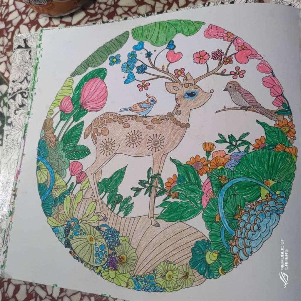 74歲阿嬤無聊猛畫10本《秘密花園》 絕美配色網友大讚太有才華