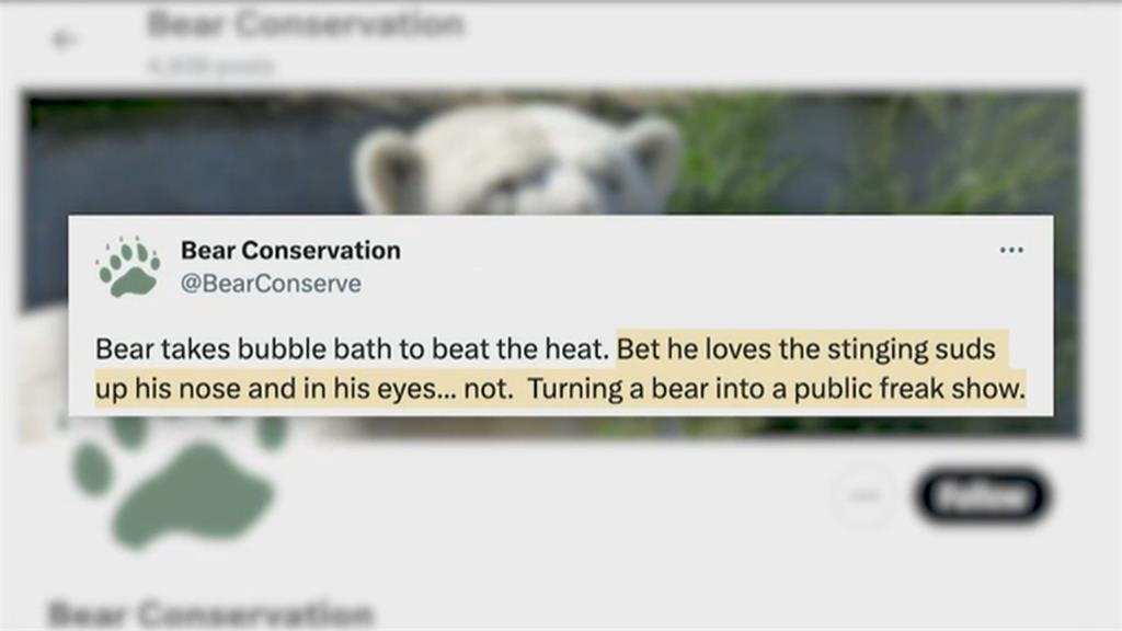 動物園洗水池黑熊亂入　洗泡泡浴香豔畫面曝