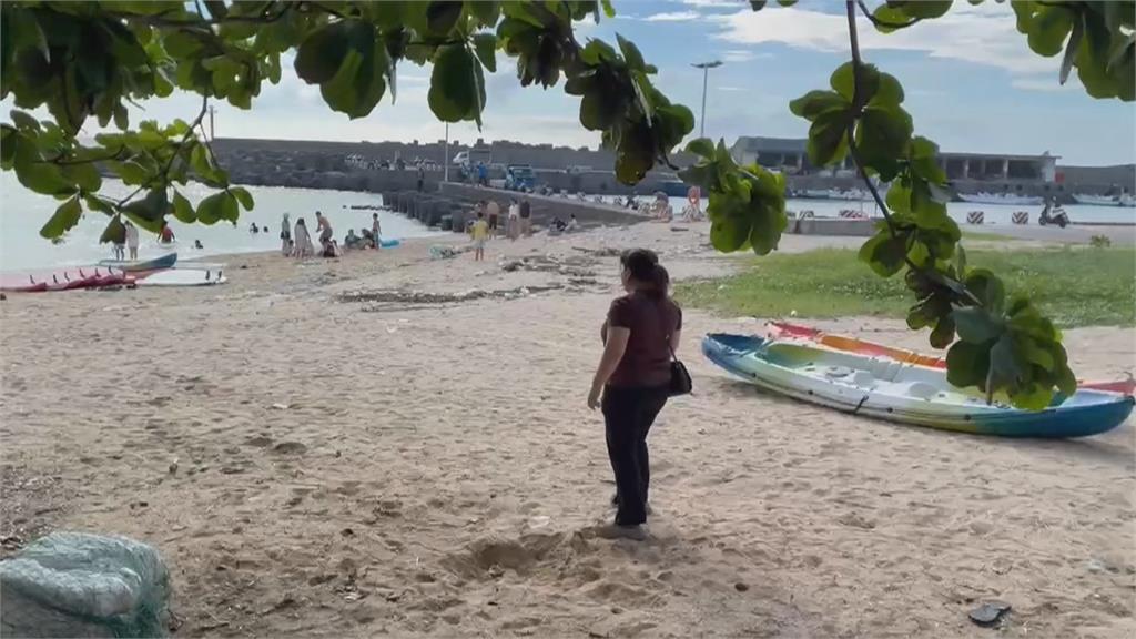 嬌客出沒！海豚疑迷航闖入杉福漁港　小琉球遊客見狀驚呼連連