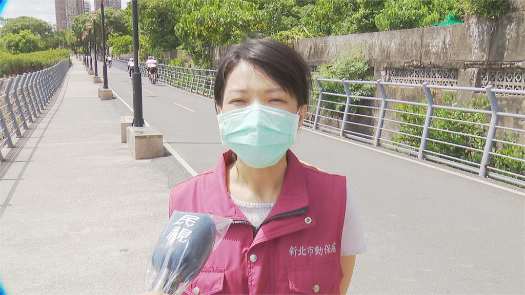 驚！日前遭黑腹虎頭蜂群攻　紀政頭、手多處螫傷