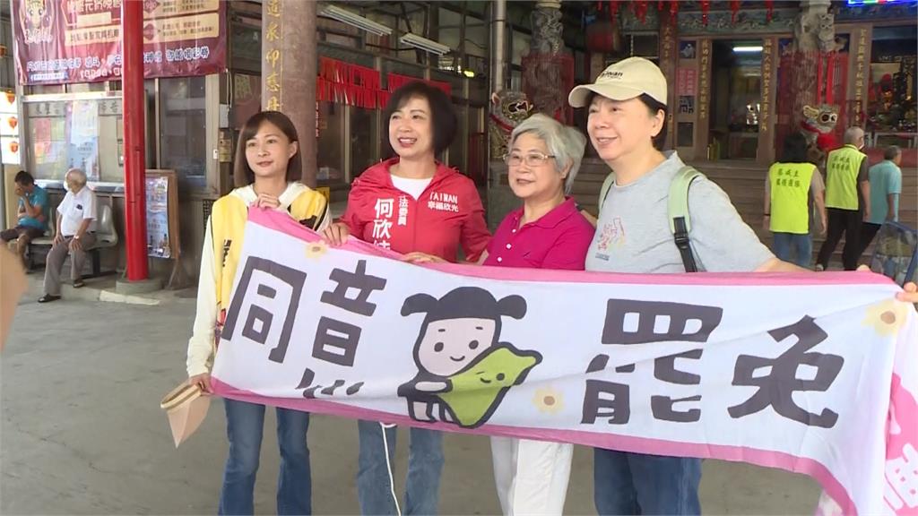 823大罷免倒數5天！　何欣純號召綠議員「民主大車掃」