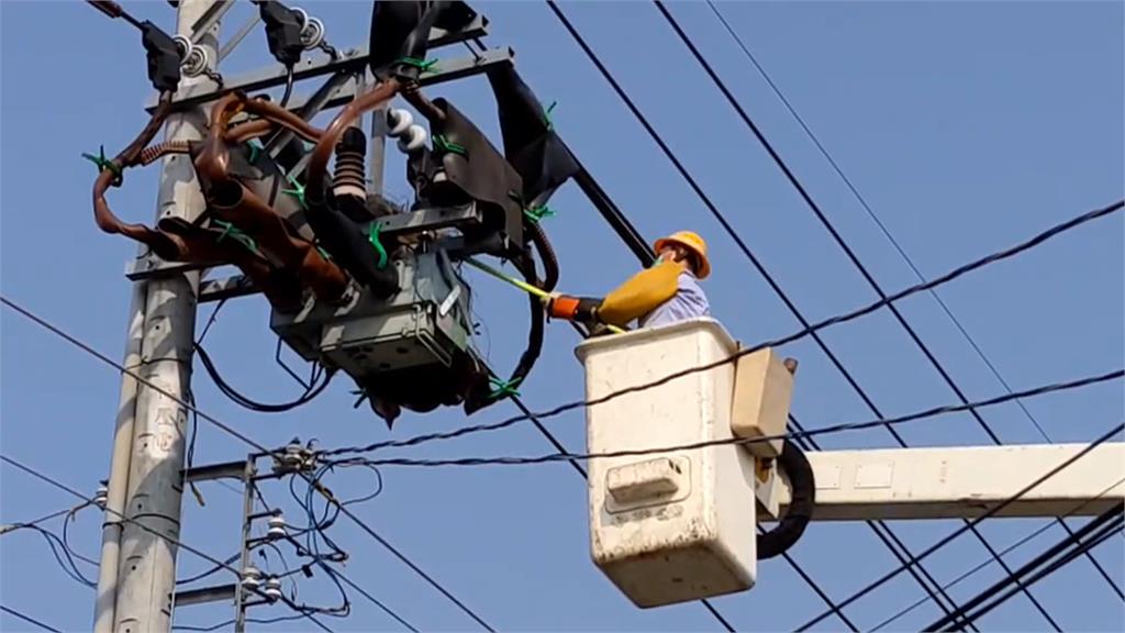 嚴防跳電!加強清除「電桿上的釘子戶」 台電巡檢除鳥巢大作戰