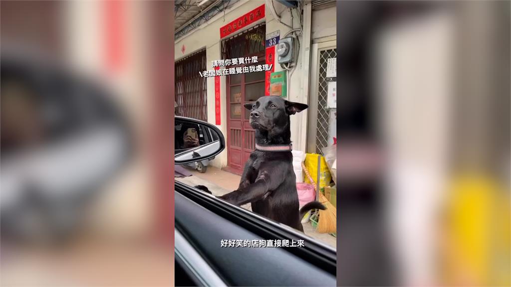 老闆娘不在歐告見客秒上前招待 「化身店員」眼神超自信