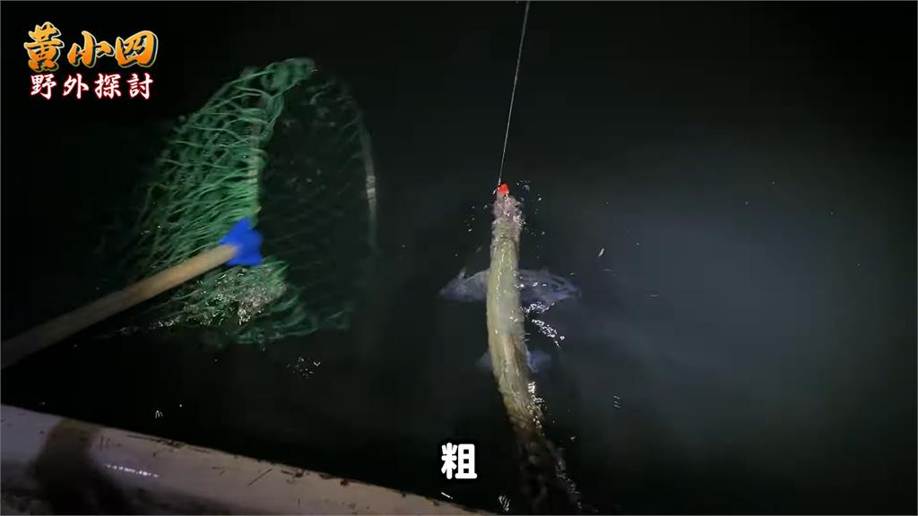 總統魚殺手 ！日月潭夜釣預估價值破萬　大尾魚隻上鉤讓他開心喊： 破紀錄了