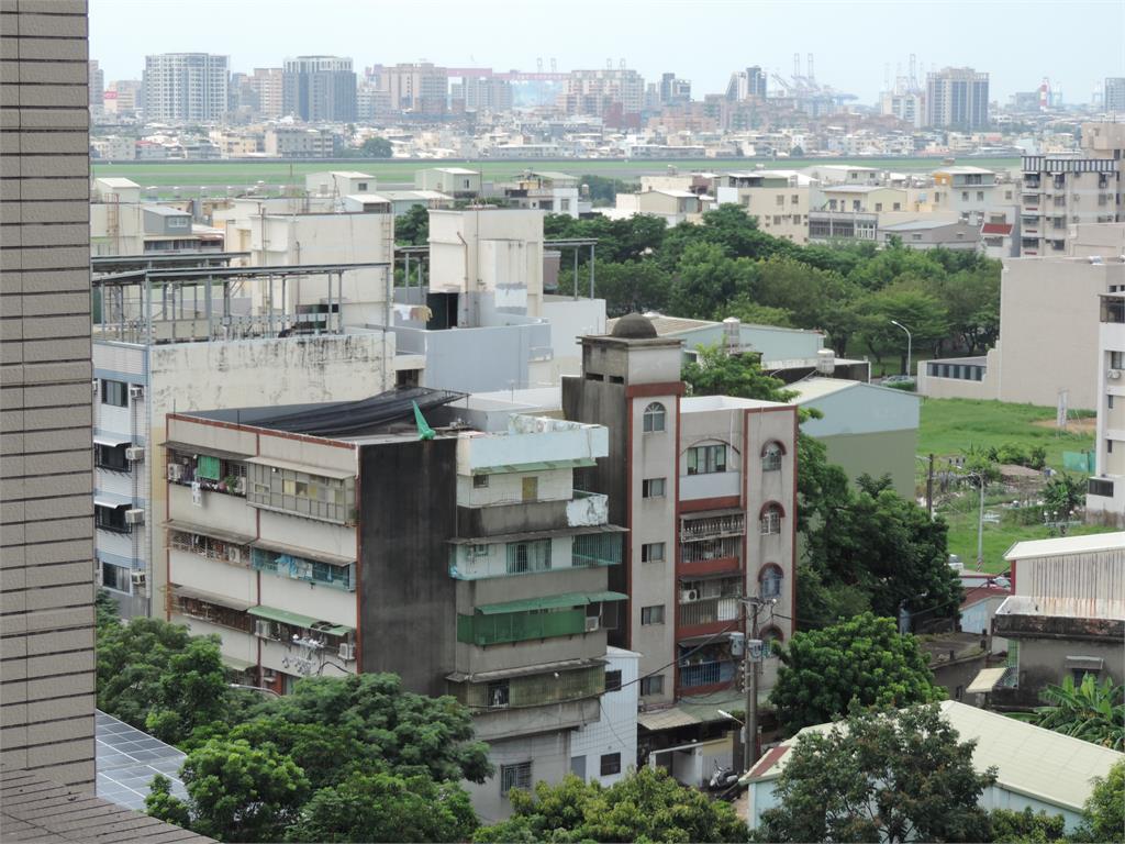 鳥糞及鳥擊恐釀飛行意外　民眾抗議小港機場傳人定時餵野鴿