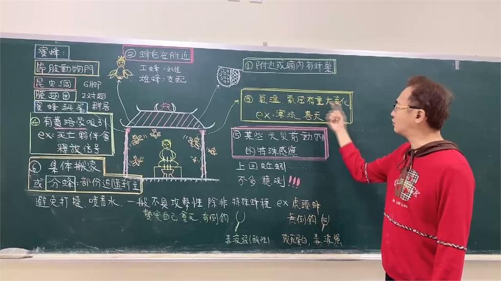 南投鳳山寺湧上千蜜蜂! 寺廟內傳「嗡嗡嗡」巨響