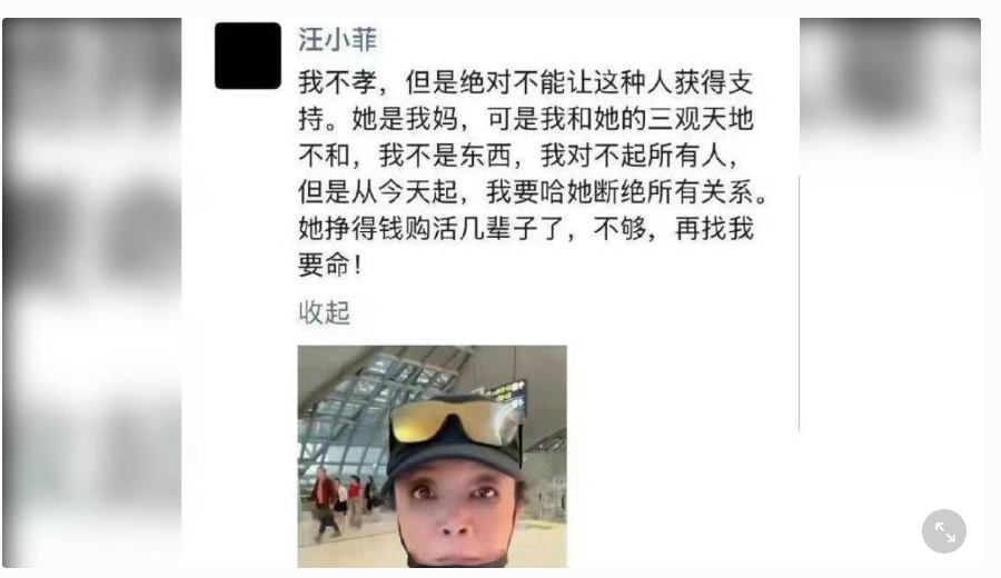 不服封號? 張蘭轉戰國際版TikTok 酸辣粉品牌直播銷售佔營業額40%