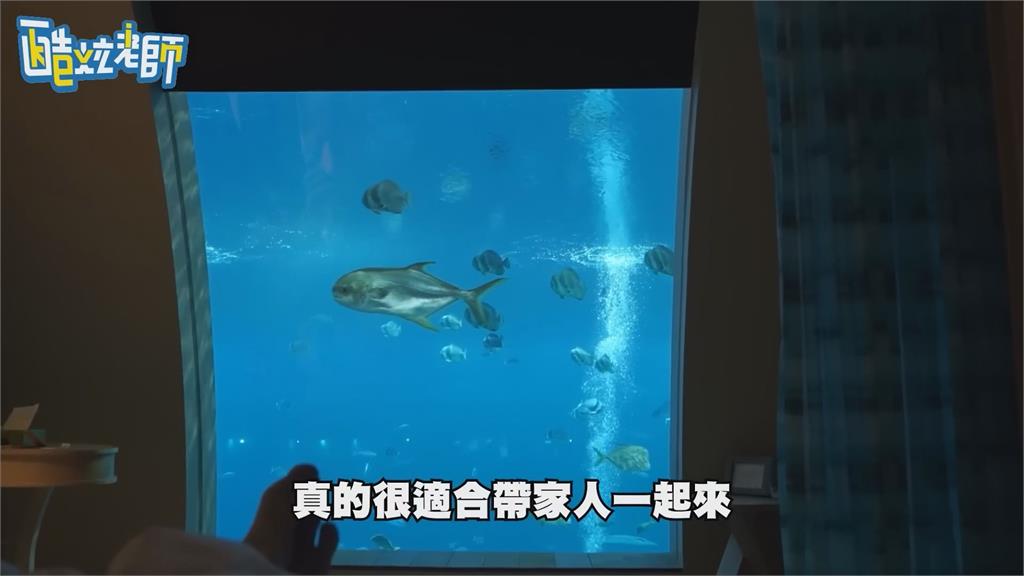 全台YTR第一人！酷炫交往周年住新加坡海底飯店　一晚6萬與鯊魚共眠