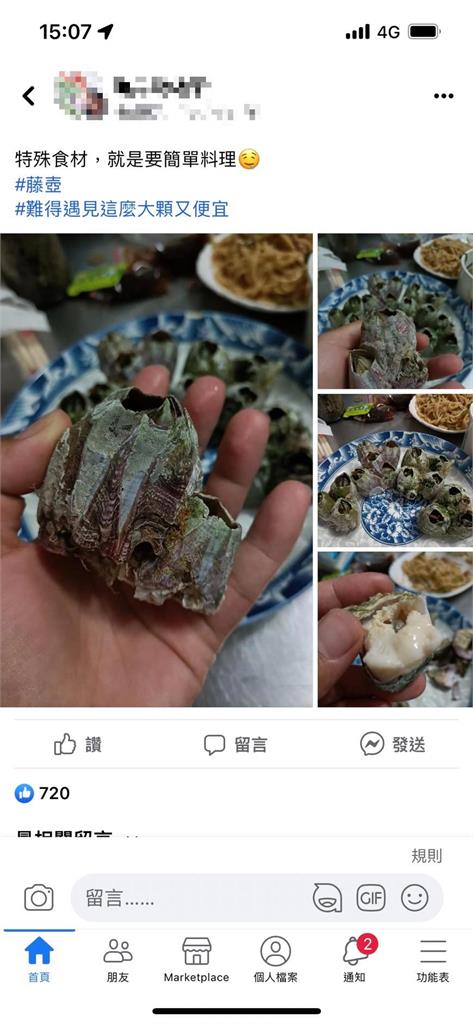 龜背、鯨魚身上「藤壺」驚成盤中飧!網:窮人龍蝦可遇不可求