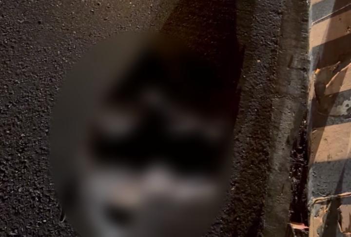 花蓮一晚兩起車禍1死1重傷 //老婦人過馬路跨越雙黃線慘事發生