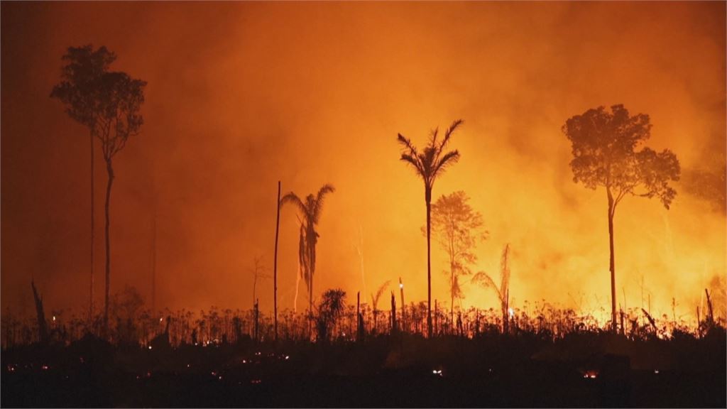 野火肆虐地球之肺 亞馬遜、印尼雨林徹夜狂燒