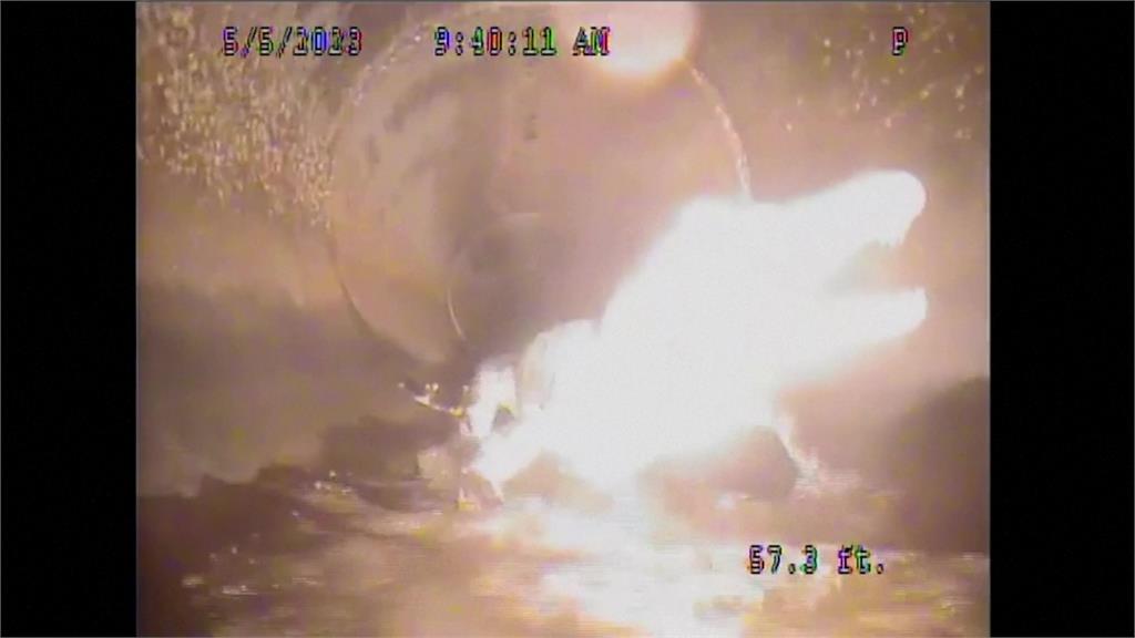 不速之客!下水道驚現「1.5公尺鱷魚」趴趴走 機器人展開追逐戰