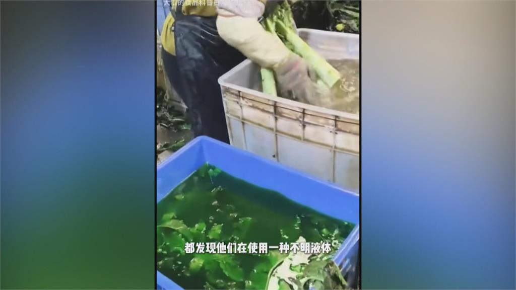 中國又爆毒蔬菜! 部落客踢爆甘肅「A菜心」非法染色