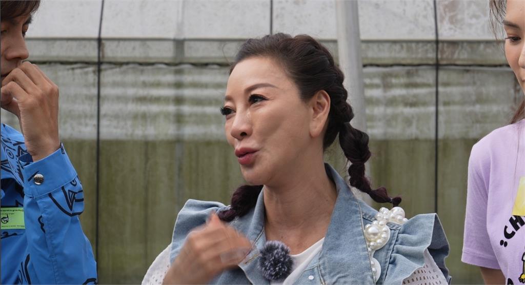阿翔扮成「黃色捕蠅片」站農田中補櫛瓜害蟲!身材扮成塑膠片毫無違和感