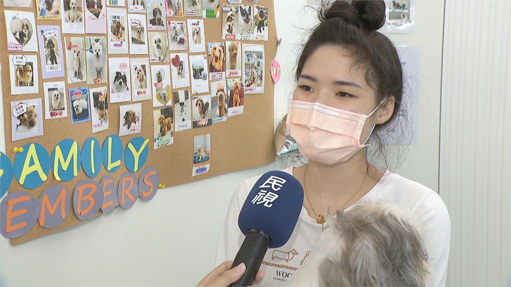 毛小孩商機逾200億! 除了獸醫、業務員 相關工作「很薪酸」