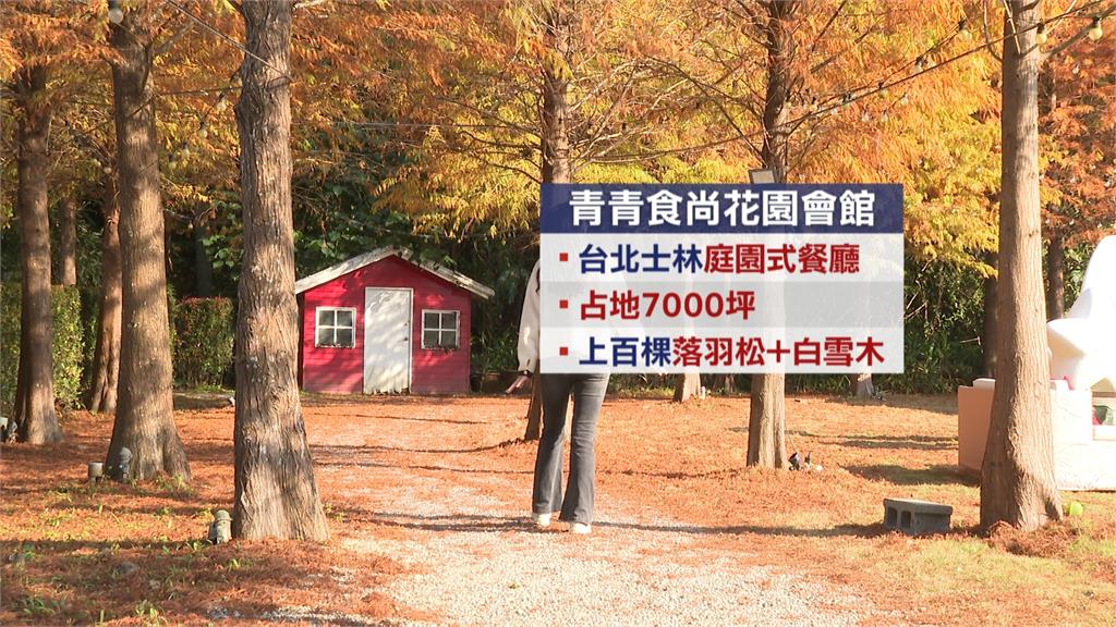 搶商機！士林「花園會館」擁落羽松美景　吸尾牙宴訂單