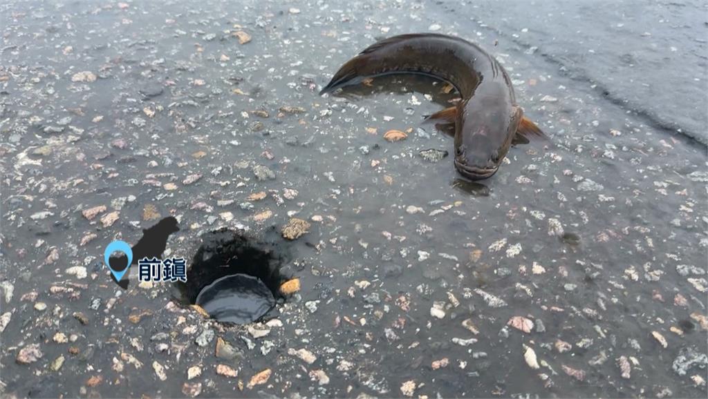 清晨豪雨狂炸！高雄市區慘淹　台88積水「水深直逼車門」