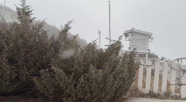 快新聞/玉山也下雪了!白色雪花飄落如仙境 絕美畫面曝
