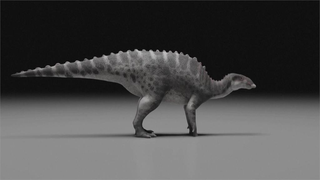 智利發現新恐龍！　鴨嘴巨獸身長4公尺