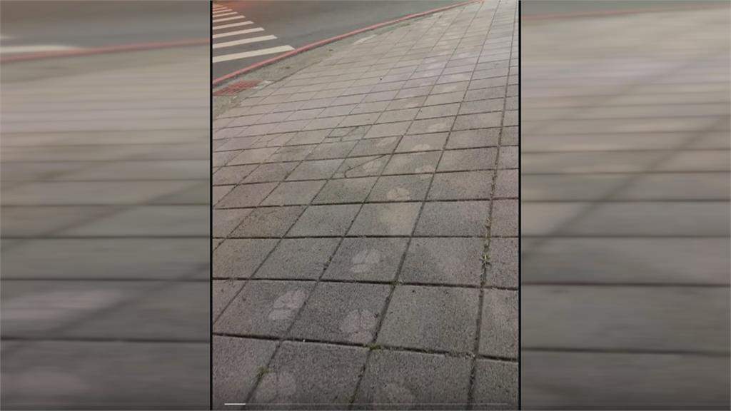 航海王真人版第二季將上線　高雄草帽海賊大遊行盛大登場