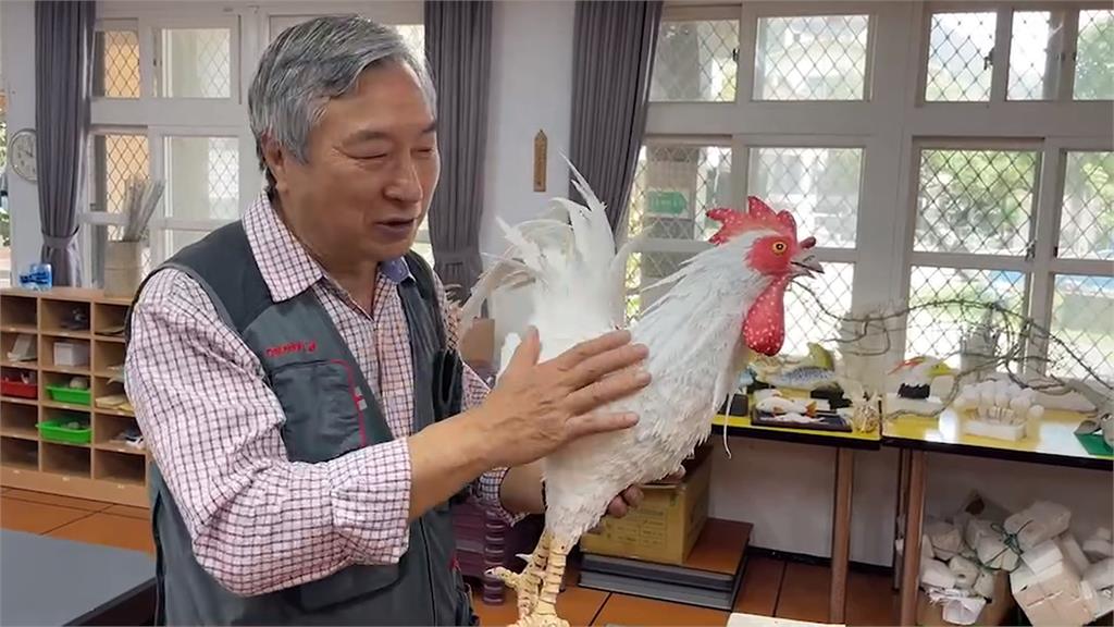 環保藝術家貝殼當畫布 藝術作品跳脫材料限制